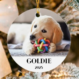 Pet Photo Ornament - Personalized Dog / Cat Picture