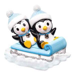 Personalized Twin Boys First Christmas Ornament