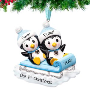 Round ornament with twin boys design, personalized with names and year.